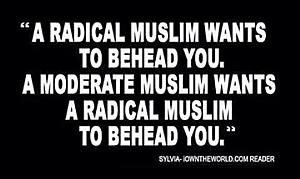 radical-muslim-moderate-muslim.jpg