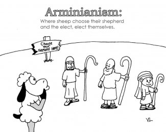 Arminian-Sheep.jpg