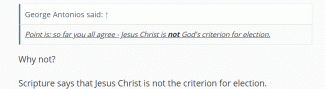Calvinist agrees that Jesus is not the criterion for salvation.gif