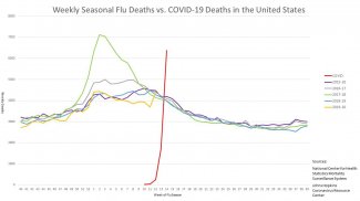Covid-19 Not Flu.jpg