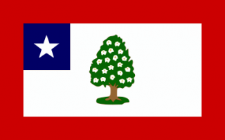 385px-Flag_of_Mississippi_(1861-1865).svg.png