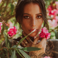 Pollina