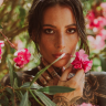 Pollina